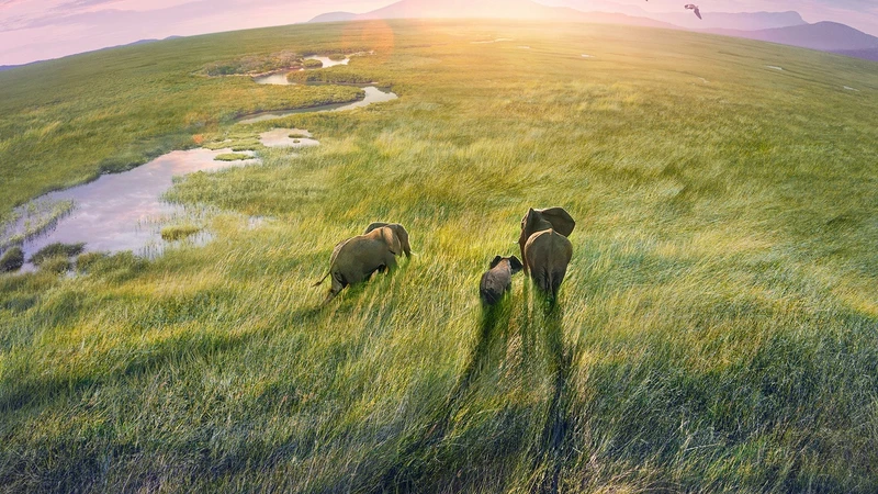 精选短片06 - 高清短视频在线观看